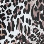 classic leopard