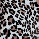 classic leopard