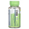 Solaray True Herbs, Green Tea, 450 mg, 100 VegCaps - 3 of 4