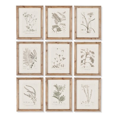 Plum & Post Botanical Illustrations, Set Of 9