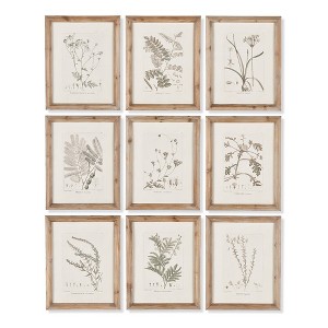 Plum & Post Botanical Illustrations, Set Of 9 - 1 of 2