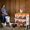 Chicken Nesting Boxes, Hole Roll Away Nest Box for Chicken Coop, Metal Egg Laying Box with Lid Cover to Protect Eggs, Rollout Egg Collection - 2 of 4