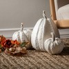 20"L Sullivans Rustic White Pumpkin Trio Decor  Cream - 3 of 3
