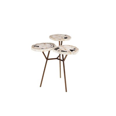 Contemporary Petrified Wood and Stainless Steel Accent Table Brown - Olivia & May