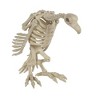 Skeleton Vulture Halloween Decoration, 10 x 17 x 5 in - 4 of 4