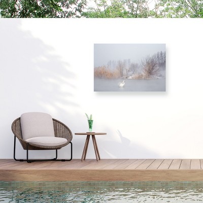 Trademark Fine Art - Uu  The Winter Swan Matted Framed Art