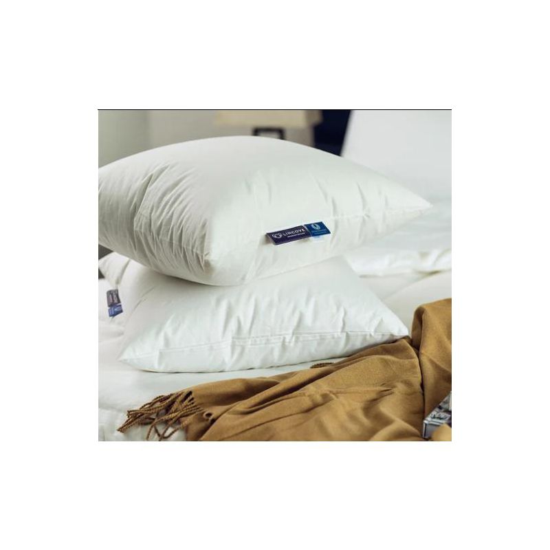 Euro Down Pillow - 625 Fill Power, 500 Thread Count - 100% Cotton Shell, 3 of 4