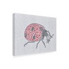 Trademark Fine Art - Amy Diener  Ladybug Love Canvas Art - 4 of 4