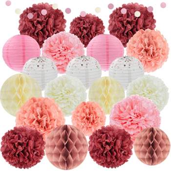 20 Pcs Tissue Pom Poms Decorations, Tissue Paper Flowers Kit for Birth –   Online Shop