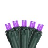 Northlight LED Wide Angle Christmas Lights - Purple - 16.25' Green Wire - 50ct - 2 of 3