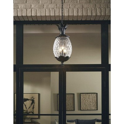 Lanai Matte Black Pineapple Glass Outdoor Hanging Lantern