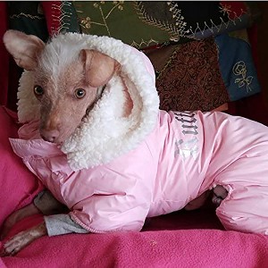 Ruffin It Dog Snowsuit Harness - Pink - 1 of 4