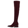 Torgeis Women's Madaline Thigh High Boots - 3 of 4