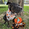 CTM Witches and Hats Halloween Print Holiday Bandana - 3 of 4
