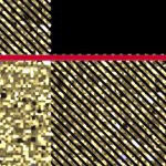 georgia bulldogs uga