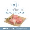 Purina ONE +Plus Joint Health Natural Chicken Flavor Dry Dog Food - 16.5lbs - 4 of 4
