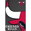 Trends International NBA Chicago Bulls - Logo 14 Unframed Wall Poster Prints - 4 of 4