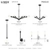 Livex Lighting Prague 1 - Light Pendant in  Black - 4 of 4