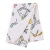 NoJo Disney Alice in Wonderland Light Blue, Pink, Yellow, and White Super Soft Plush Cuddly Plush Baby Blanket - 2 of 4
