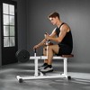 Soozier Adjustable Steel Seated Calf Raise Exercise Strength Training Gym Equipment, Brown - 3 of 4