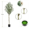 Olive Tree Artificial, Faux Olive Tree with Pot, Fake Tall Plant Indoor Outdoor with Natural Wood Trunk & Lifelike Fruits for Home Office Living Room - 4 of 4