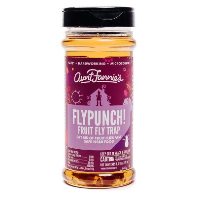 FlyPunch! founder builds brand for natural fruit fly killer from Greenville