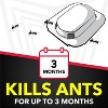 Raid Ant Baits and Indoor Ant Baits - 0.12oz/4ct - 3 of 4