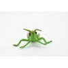 Collectible Wildlife Gifts | Grasshopper, Rubber Insect, Hand Painted, Realistic Toy Figure, Model,   Educational, Gift,      3 1/2"     CH272 BB124 - 4 of 4