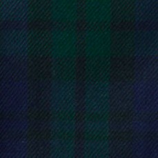 classic navy/evergreen plaid