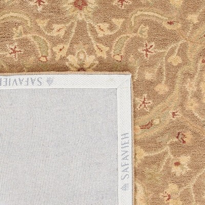 Antiquity Brown and Gold Tufted Wool Area Rug