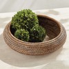 Plum & Post Burma Rattan Shallow Display Bowls Set Of 2 - 3 of 4