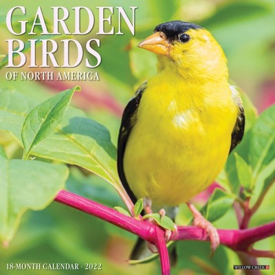 2022 Wall Calendar Garden Birds - Willow Creek Press