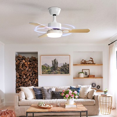 Aheaplus Modern Ceiling Fan with Dimmable Light