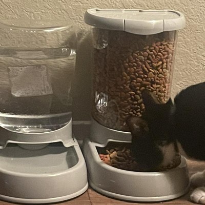 Cat food dispenser outlet reviews