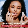 Aquaphor Lip Repair Stick For Immediate Relief - Coconut - 0.17oz - 4 of 4