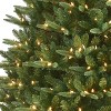 Puleo 12' Pre-Lit LED Full Monroe Fir Artificial Christmas Tree Warm White Lights - 3 of 3