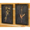Botanical Prints Under Glass 14"H – Distressed Black Wood Frame Farmhouse Wall Decor (Set of 6) by Kalalou - 3 of 3