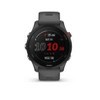 Garmin Forerunner 255 - Slate Gray : Target