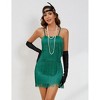 Womens Roaring 20s Costumes Flapper Dress 1920s Vintage Fringe Dress Cocktail Theme Party Dress - 2 of 4