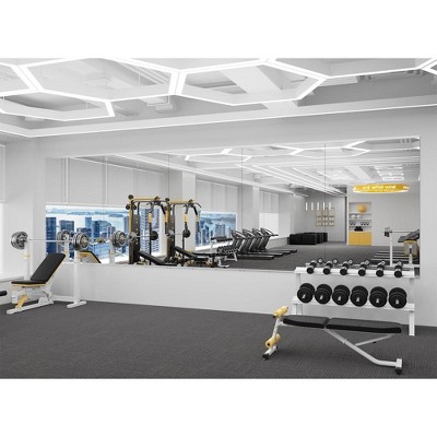 36'' x 60''  Workout Mirrors for Home Gym