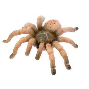 Collectible Wildlife Gifts | Spider, Wolf Spider, Rubber Insect, Hand Painted, Realistic Toy Figure, Model, Gift,      3"       CH422 BB108 - 1 of 4