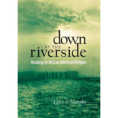 Down by the Riverside - (Religion, Race, and Ethnicity) by  Larry Murphy (Paperback)
