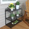 Sunnydaze Indoor/Outdoor Iron Metal 3-Tiered Potted Flower Plant Stand with Scrolled Back Design - 30" - Black - 4 of 4