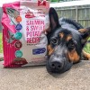 Tender & True Salmon and Sweet Potato Recipe Dry Dog Food - 4 of 4