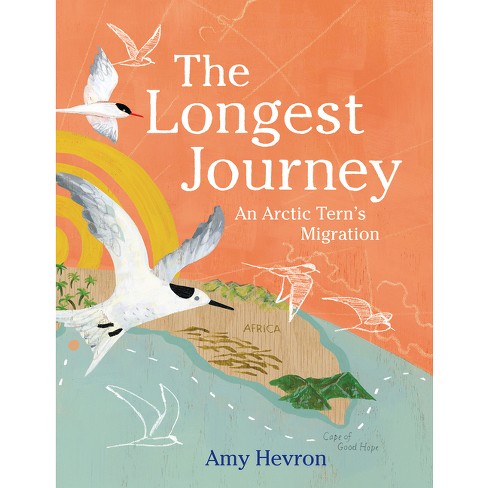 The Longest Journey - by  Amy Hevron (Hardcover) - image 1 of 1