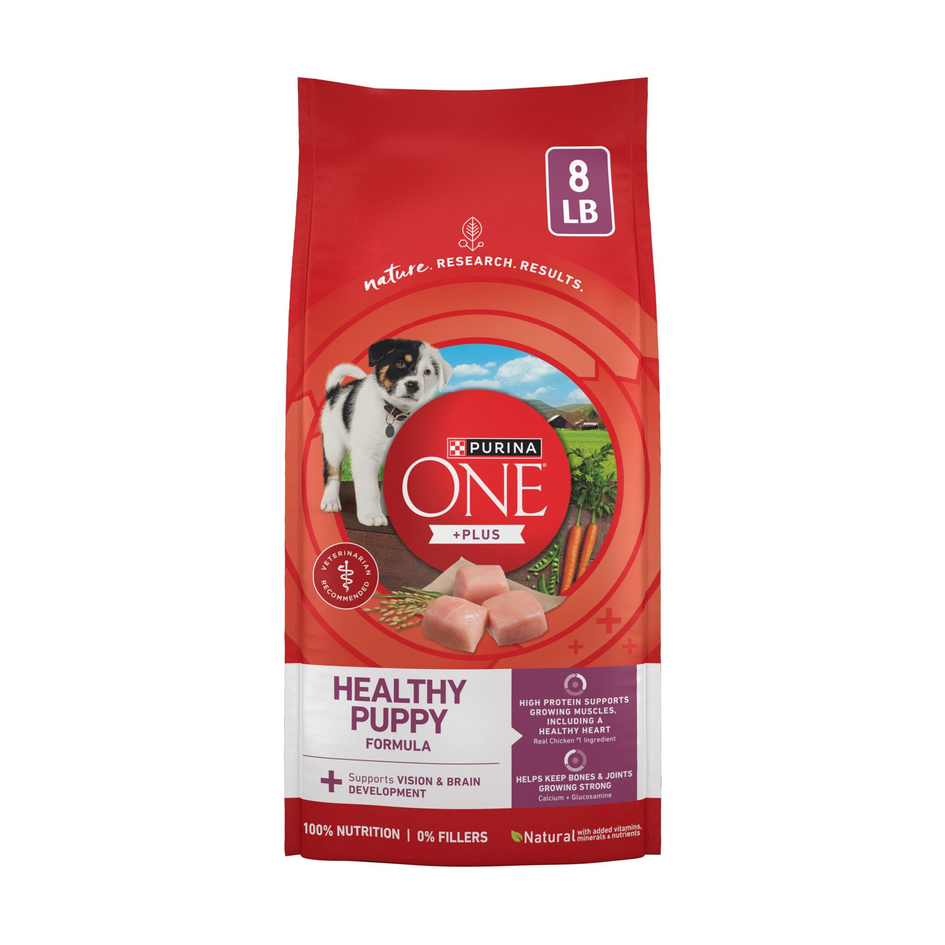 Purina ONE SmartBlend Healthy Puppy Natural Chicken Flavor Dry Dog Food