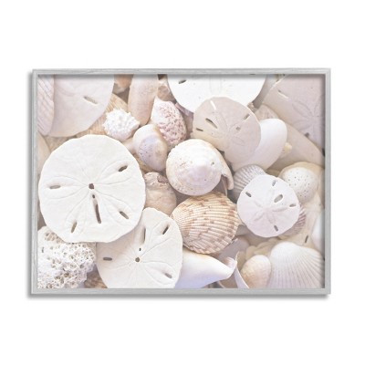 Stupell Industries White Mixed Sand Dollar Shells Framed Giclee Art