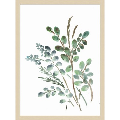 Svelte Natural Framed Botanical Watercolor Wall Art, 19" x 25"