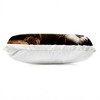 Stupell Industries Baron Whiskerton Cat Outdoor Decorative Throw Pillow, 14 x 20 - 2 of 3