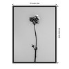 Amanti Art Amid the Flowers 16 by Teis Albers Canvas Wall Art Print Framed 18 x 24-in. - 4 of 4